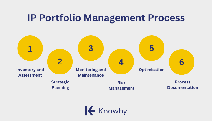 how does ip portfolio management work